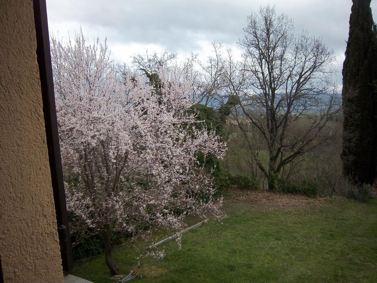 Agriturismo Villa Mozart Nel Verde กุบบีโอ ภายนอก รูปภาพ
