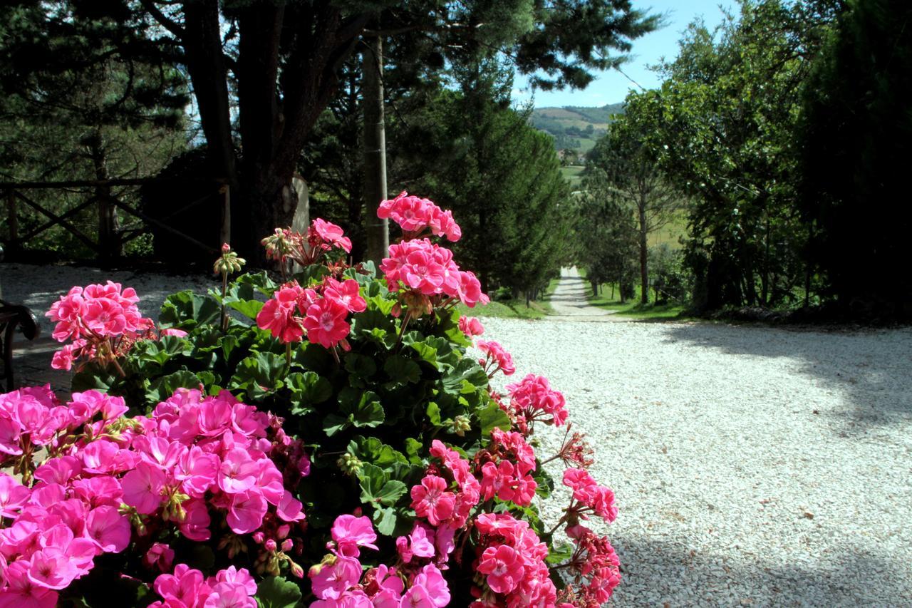 Agriturismo Villa Mozart Nel Verde กุบบีโอ ภายนอก รูปภาพ