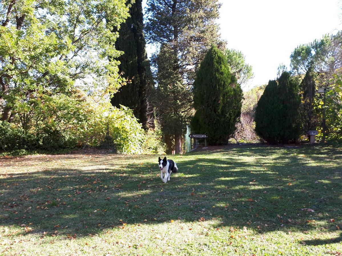 Agriturismo Villa Mozart Nel Verde กุบบีโอ ภายนอก รูปภาพ