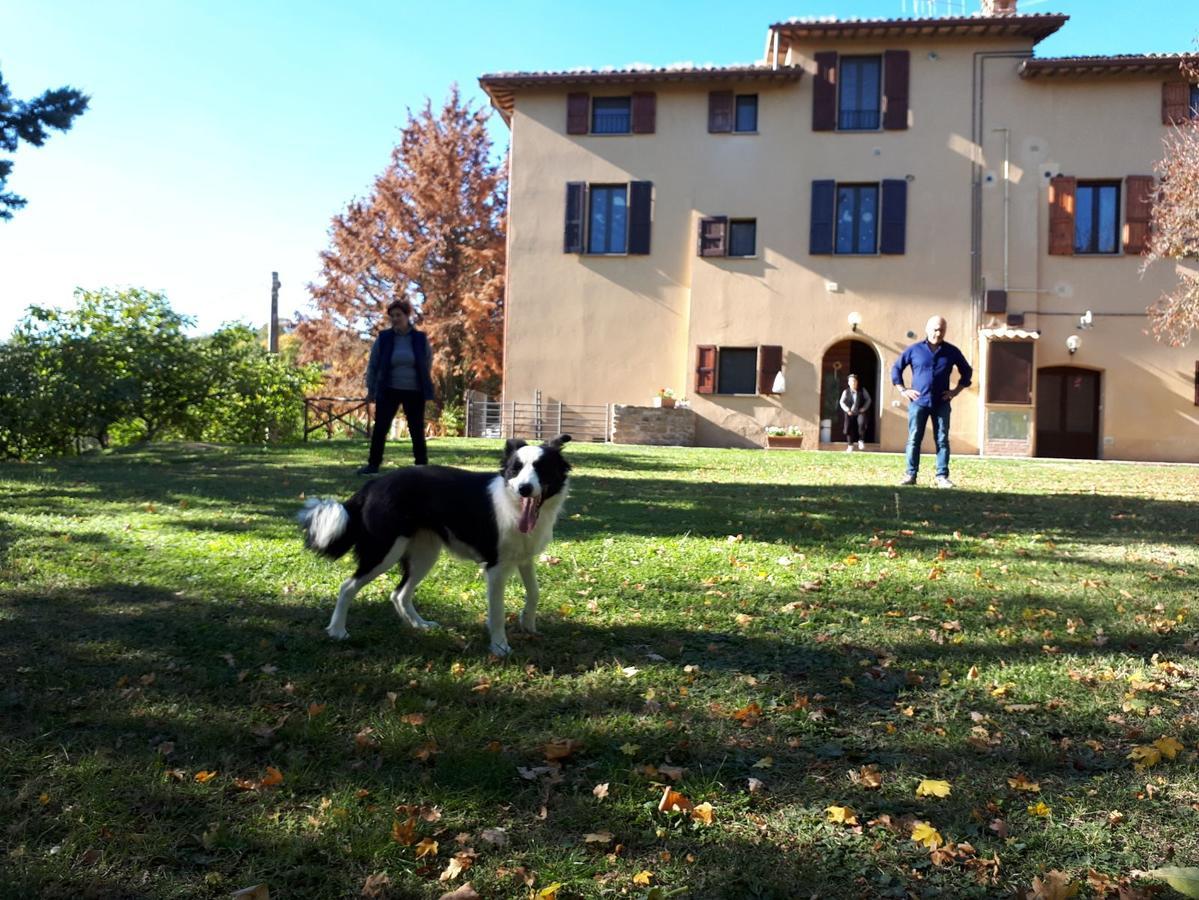 Agriturismo Villa Mozart Nel Verde กุบบีโอ ภายนอก รูปภาพ
